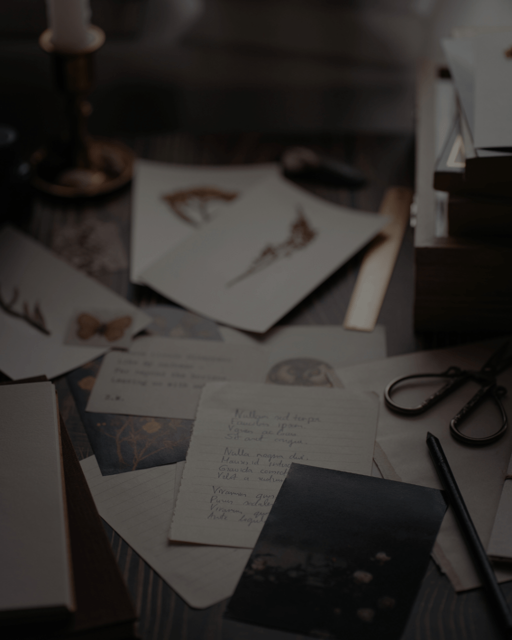 My Favorite Horror Books of&nbsp;2025