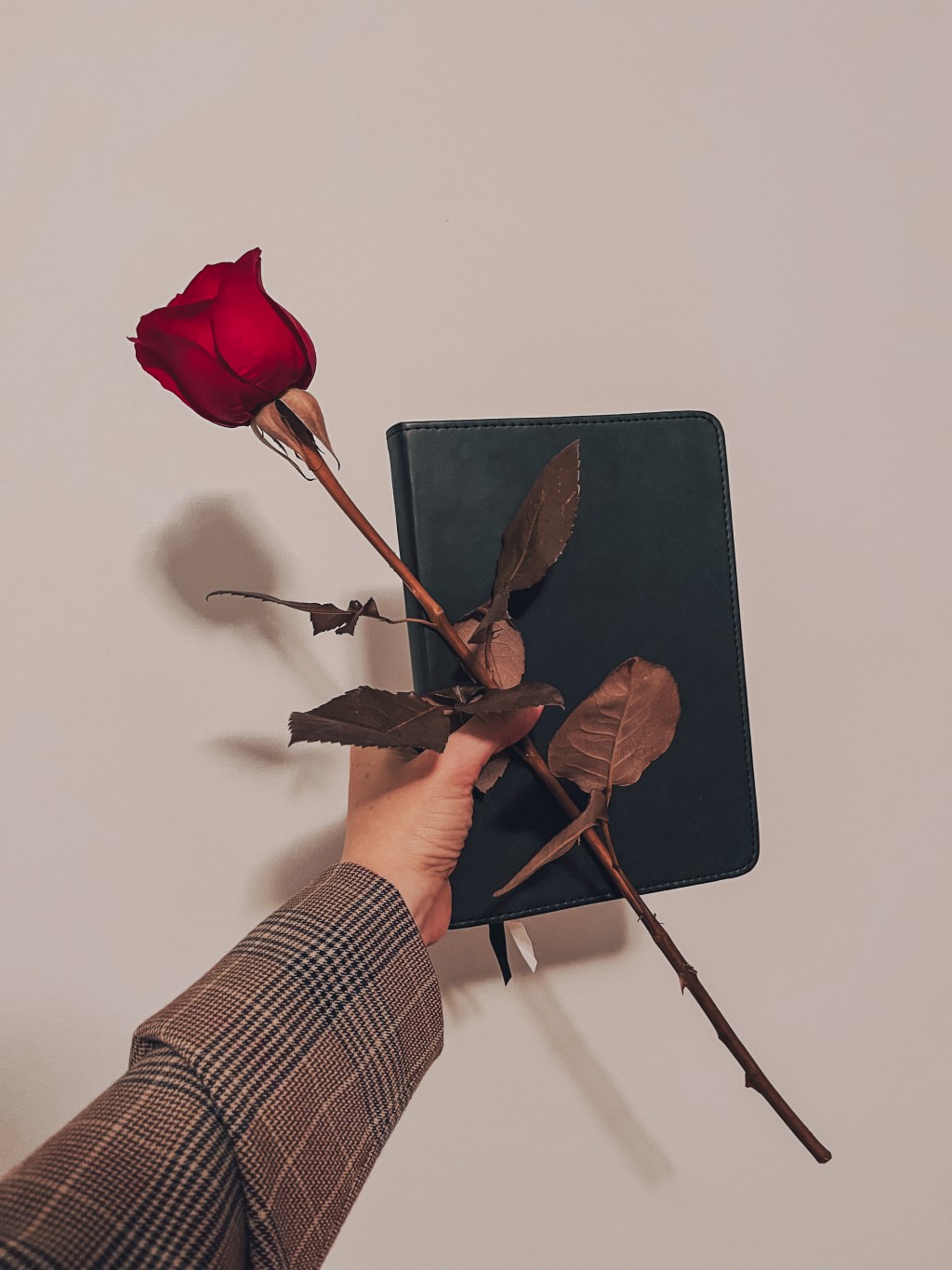 2025 Wrapped & 2026&nbsp;Goals