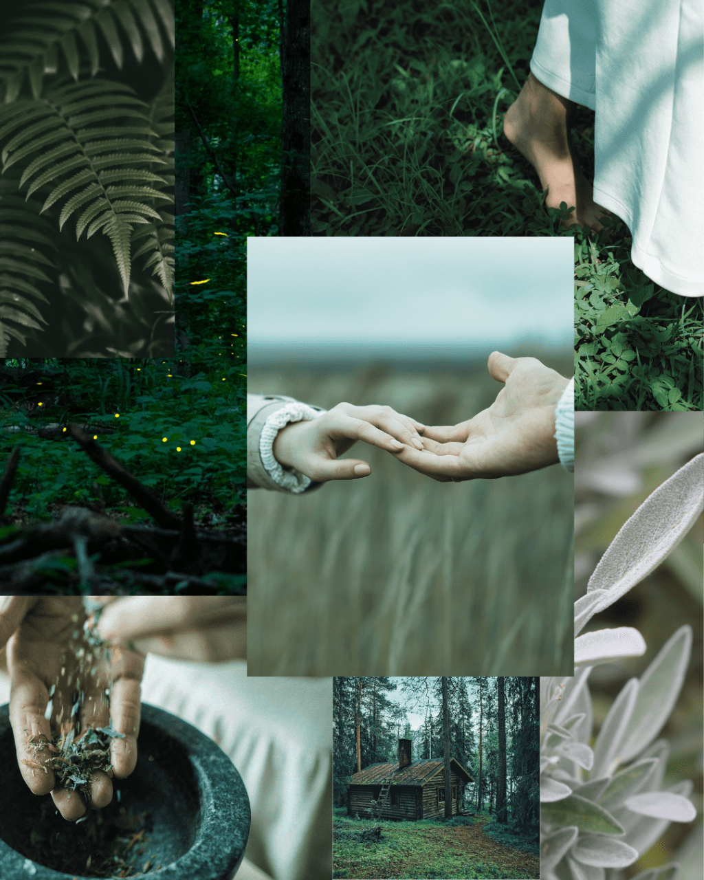 My New Short Story, “The Woods Witch”